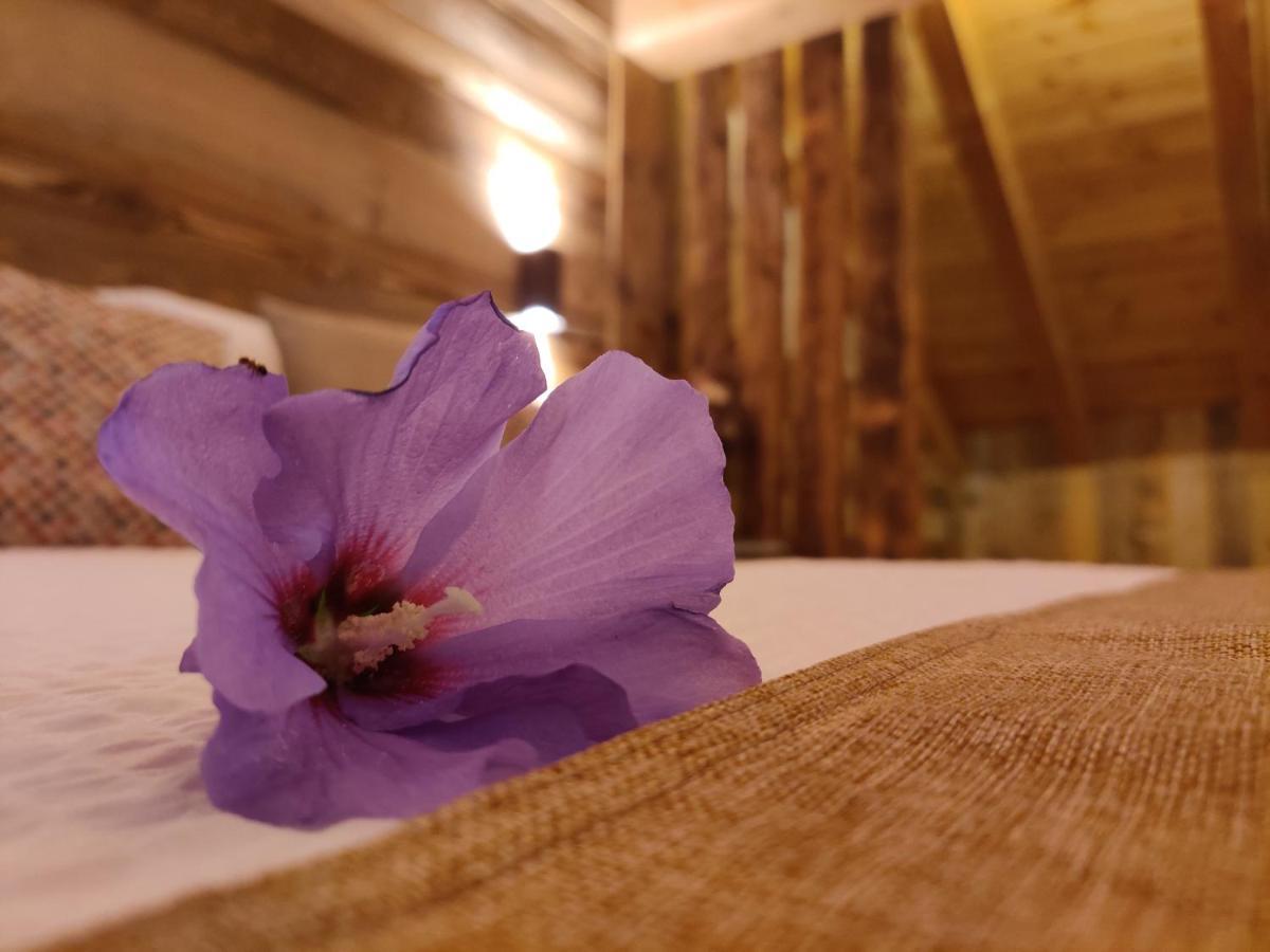 Au Fond Du Bourg Apartman Aosta Kültér fotó